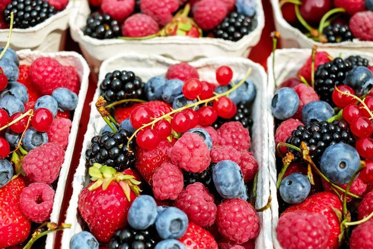Different Types of Fruits Explained (With Categories and Examples)