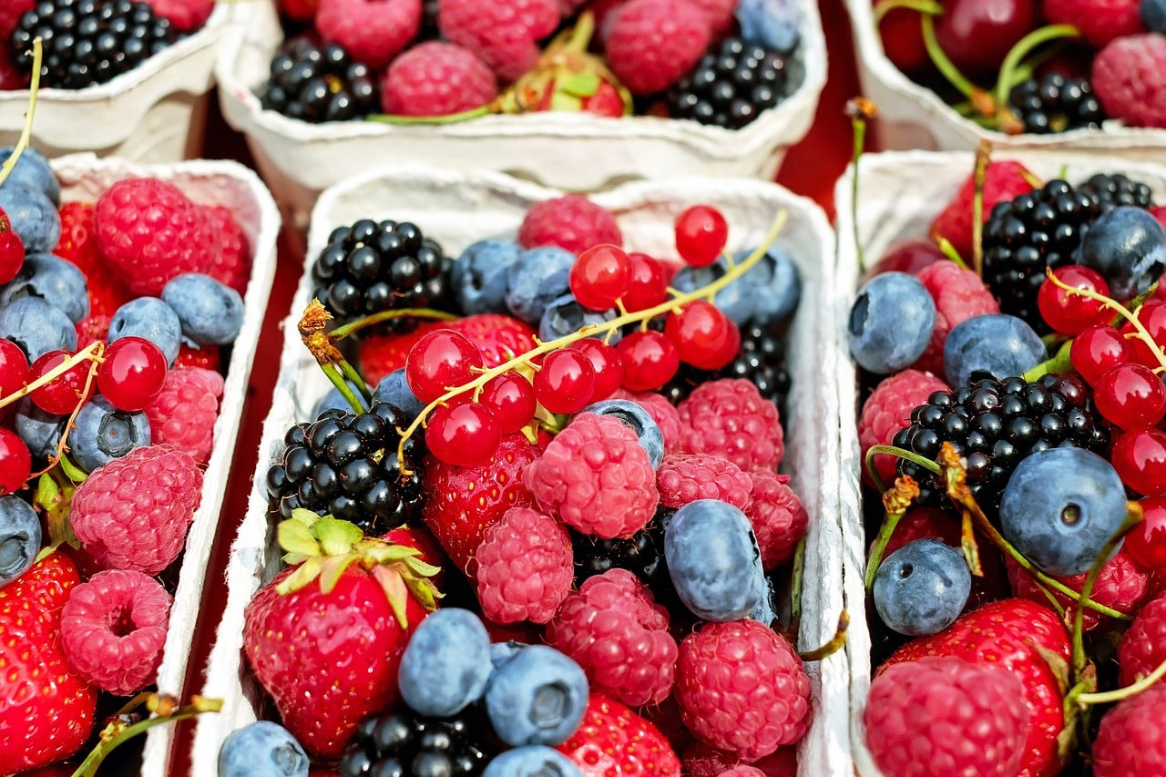 Mixed Berries - Substitutes for Oats