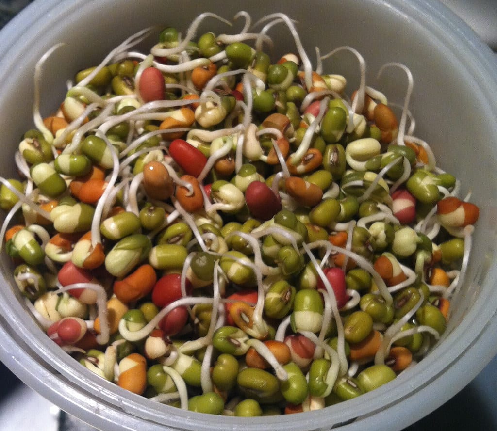 Mixed Sprouts