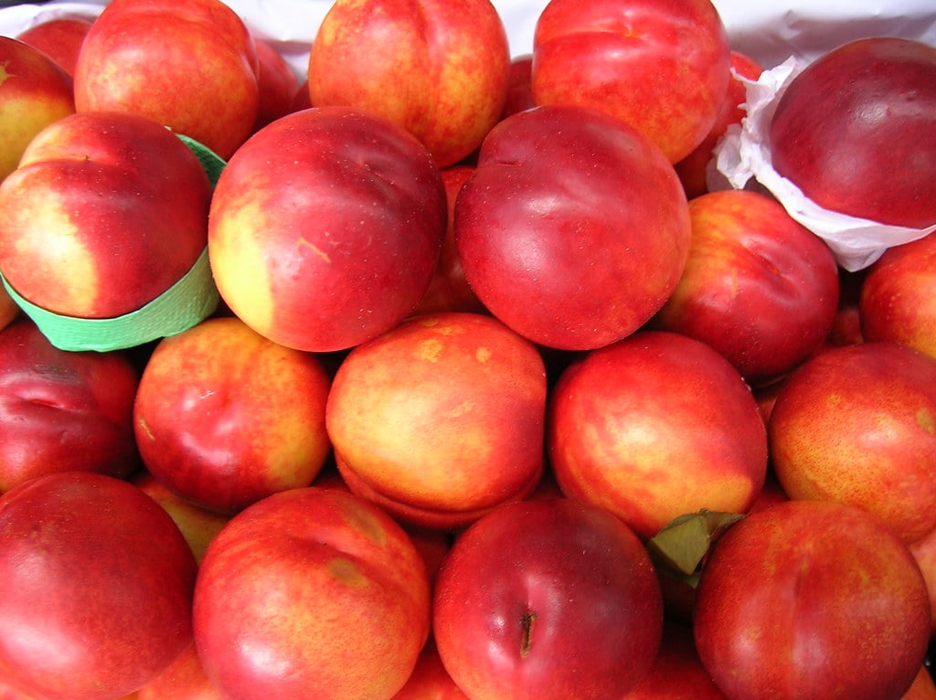 Nectarine