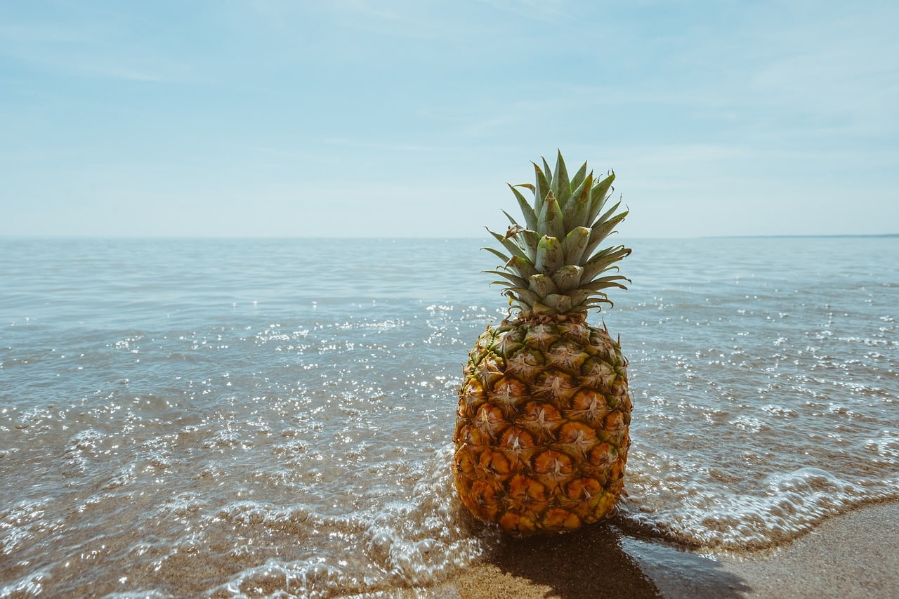 Pineapples - Best Fruits for Wine Making