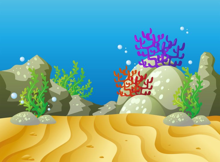 types of plants in the ocean