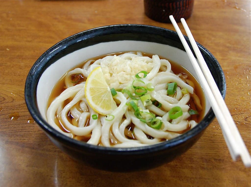 Udon - Types Of Noodles