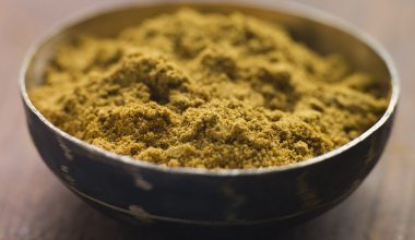 Best Substitutes for Cumin Powder