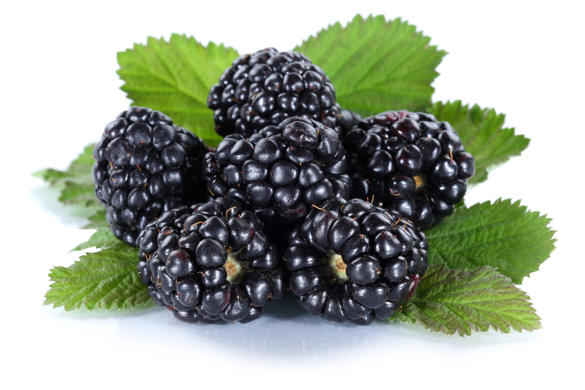 blackberries