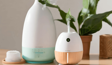 Difference Between Diffuser and Humidifier