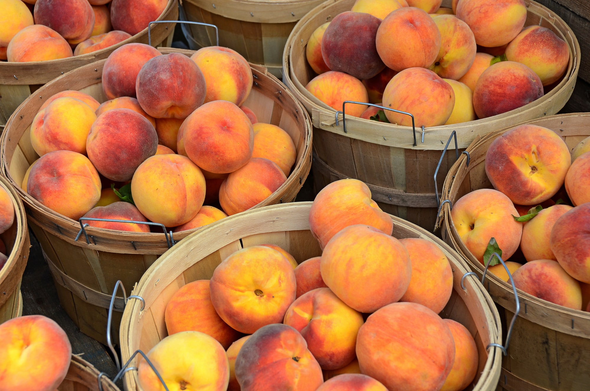 Peaches - Fruits that Contain Seeds