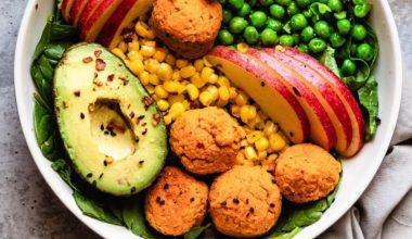 Vegetarian Substitutes for Meat