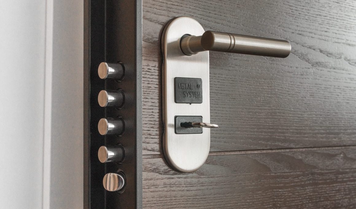 Different Types of Door Locks