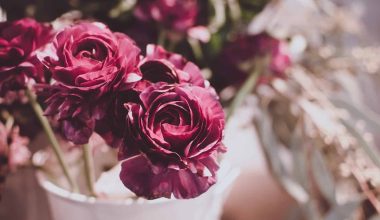 Different Types of Floral Designs