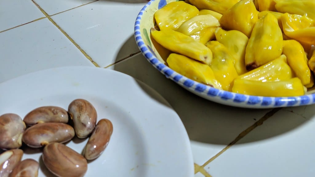 Jackfruit and Seeds - Fruits With Big Seeds