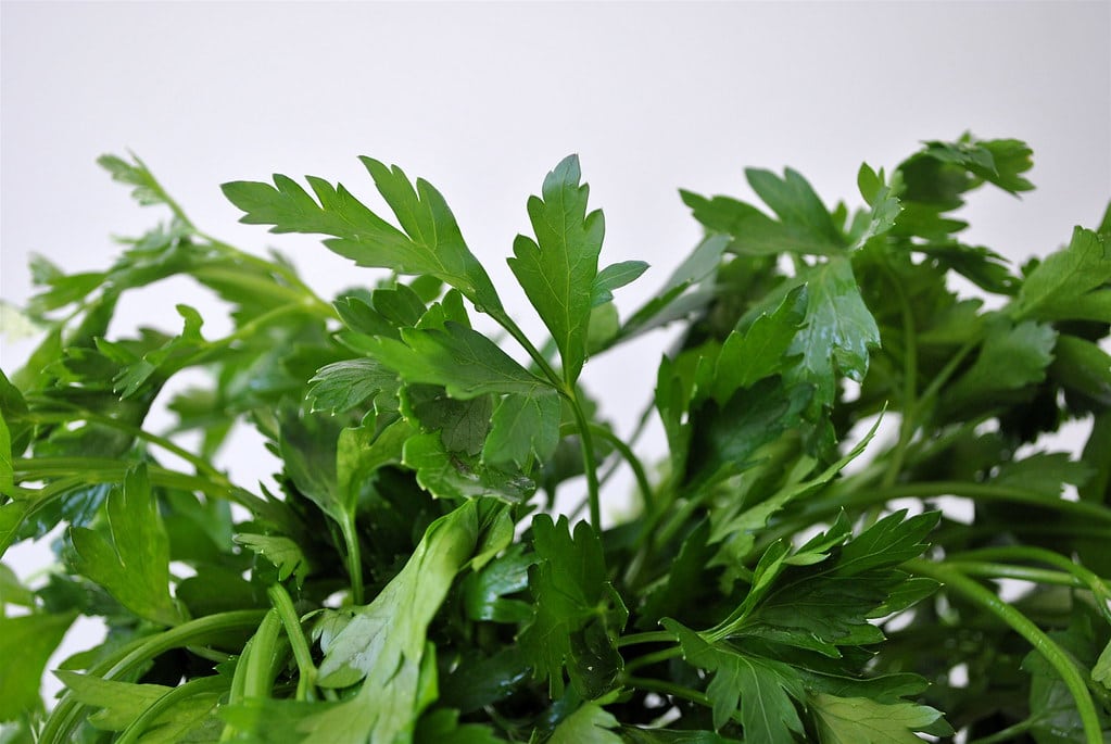 Parsley