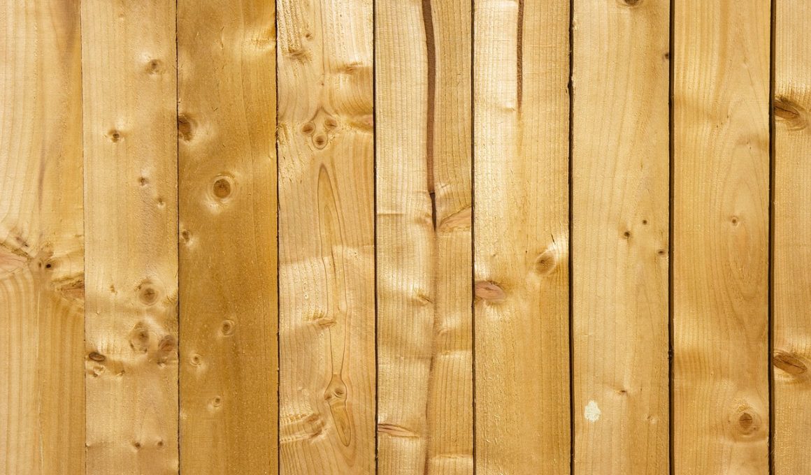 Types of Wood Wall Paneling