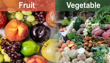Differences Between Fruits and Vegetables