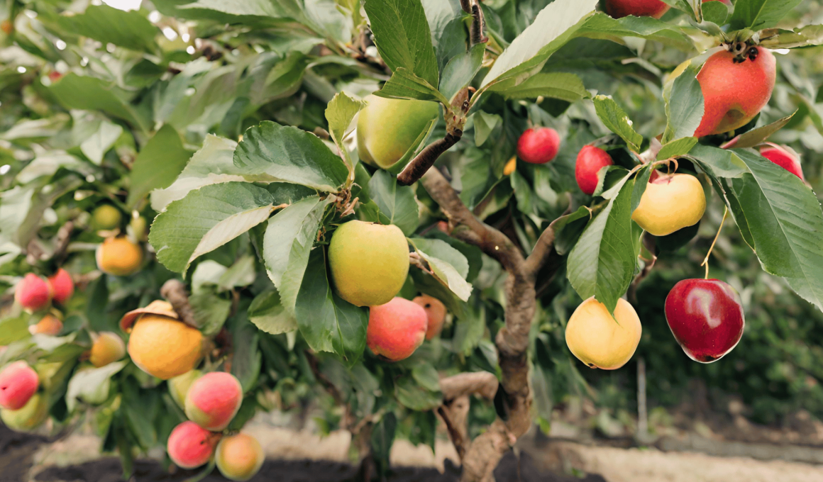 Different Types of Fruit Trees