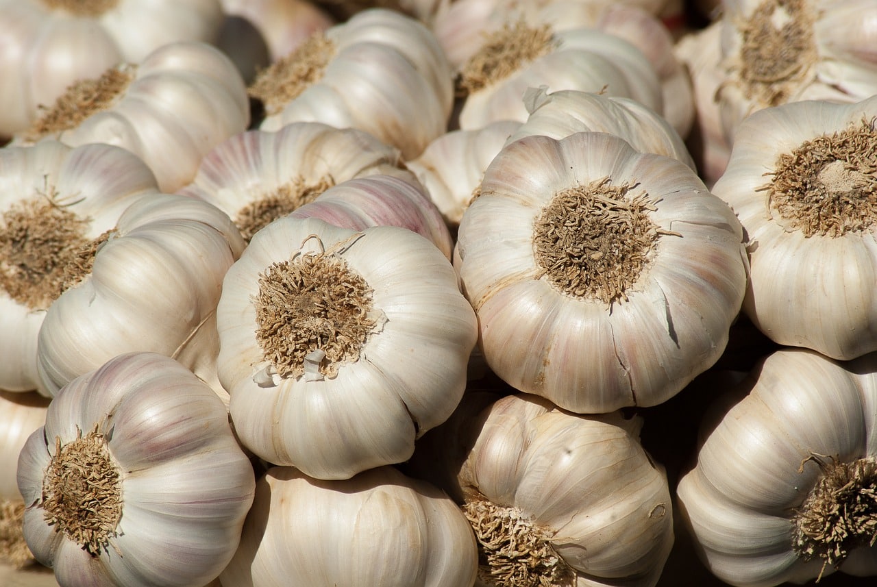 Different Types of Garlic