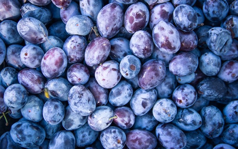 Different Types of Plums