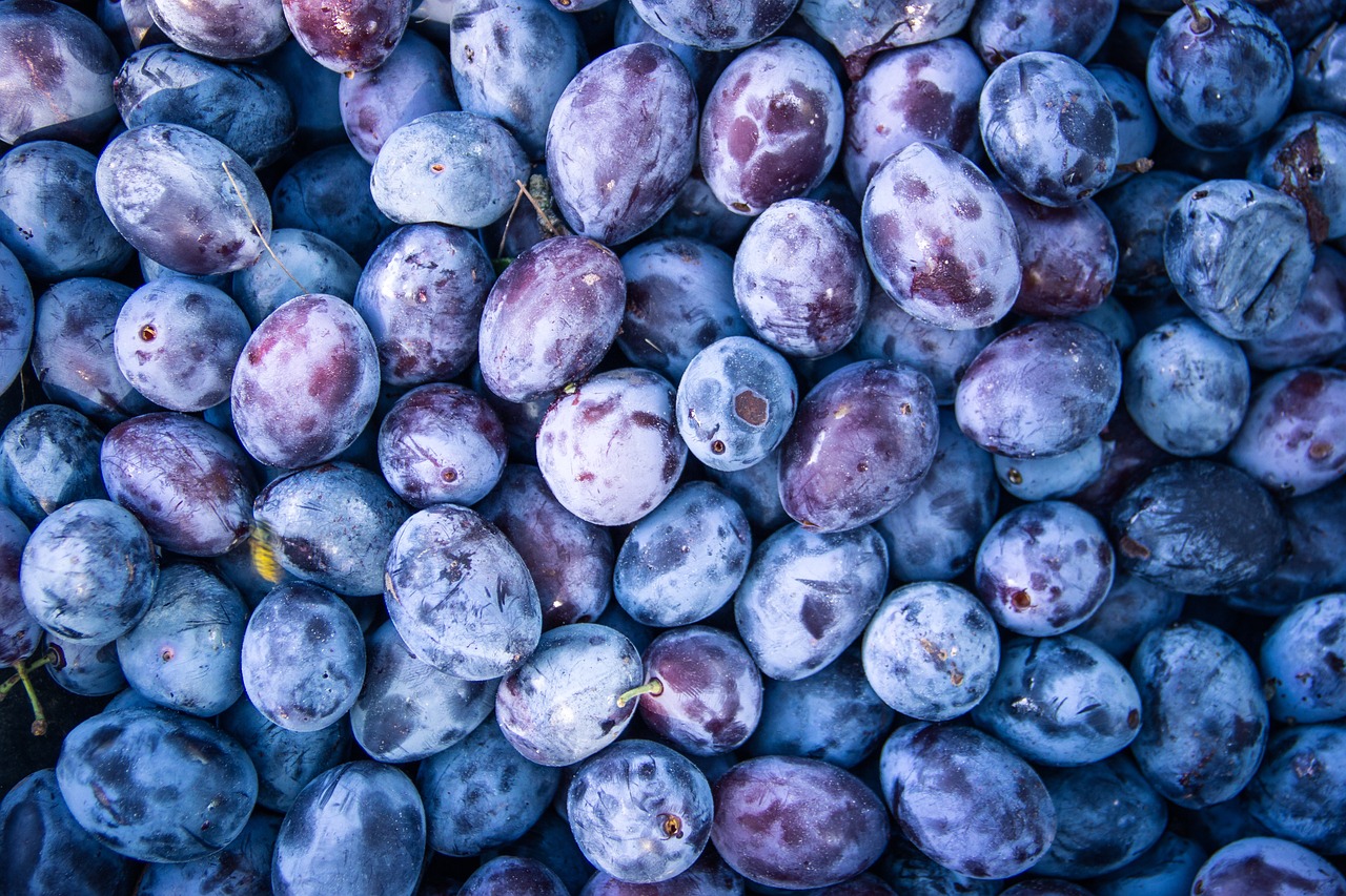 Different Types of Plums