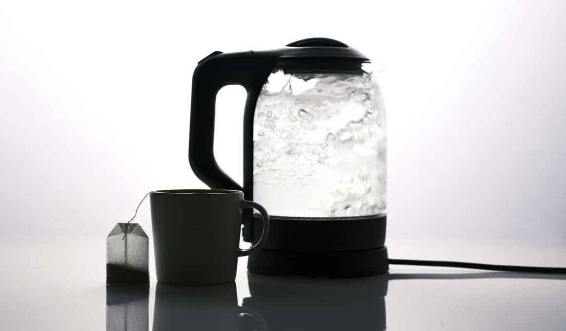 How to Clean Electric Kettle