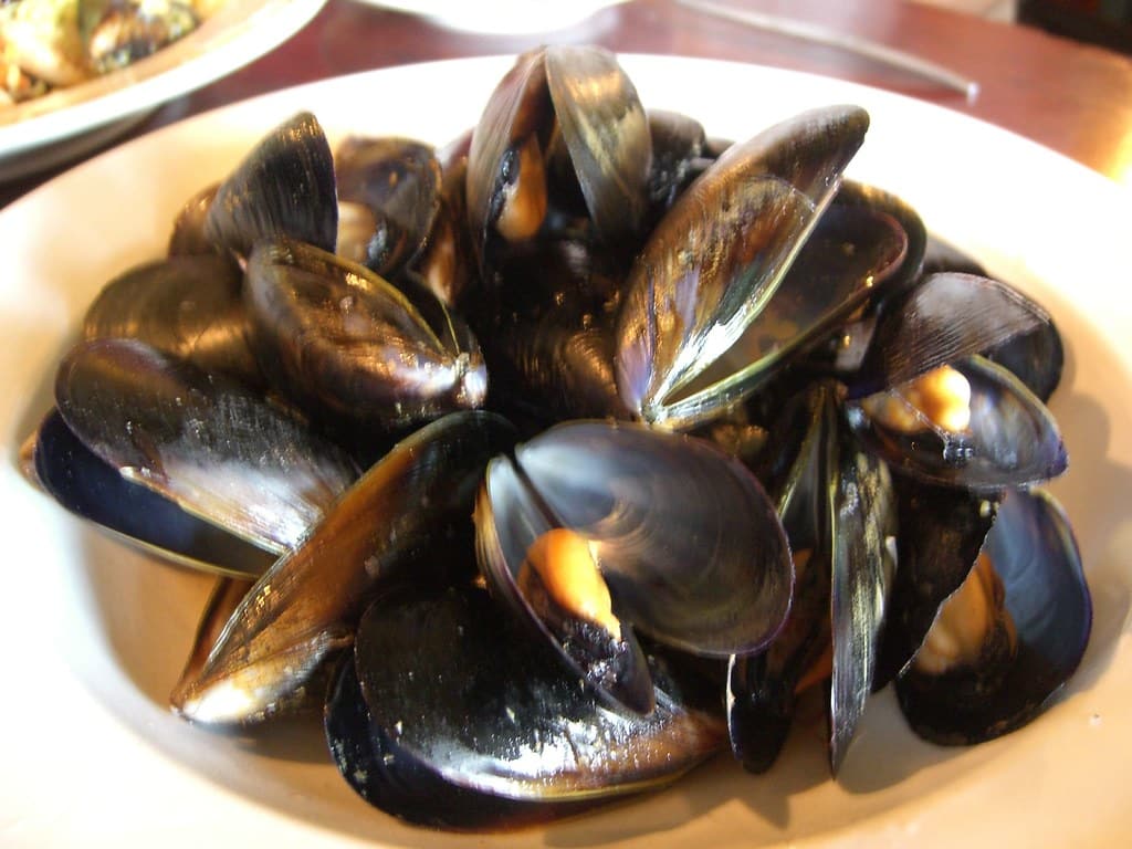 Mussel