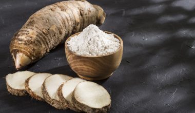 Best Substitutes for Arrowroot Flour