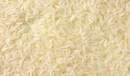 How Many Calories in Jasmine Rice