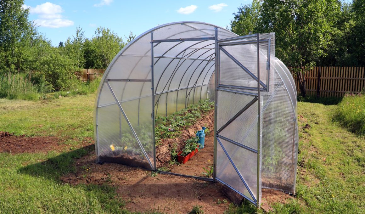 How Much Does It Cost to Build a Greenhouse