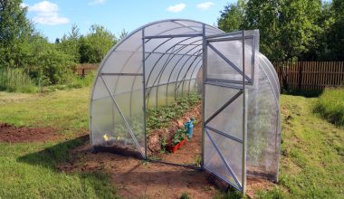 How Much Does It Cost to Build a Greenhouse