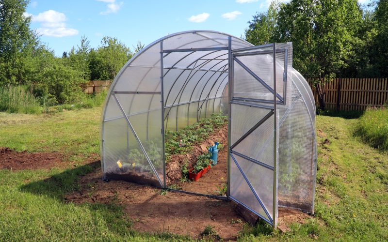 How Much Does It Cost to Build a Greenhouse