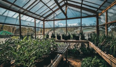 How Does a Greenhouse Work