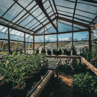 How Does a Greenhouse Work