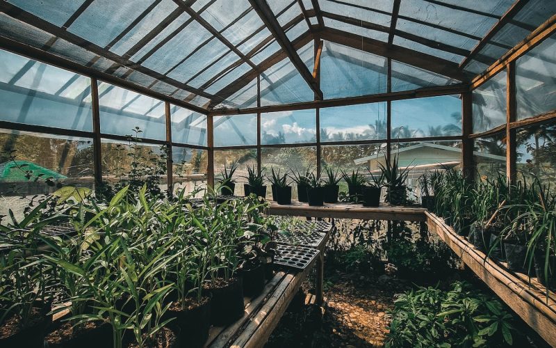 How Does a Greenhouse Work