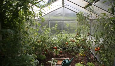 How Long Does Greenhouse Plastic Last
