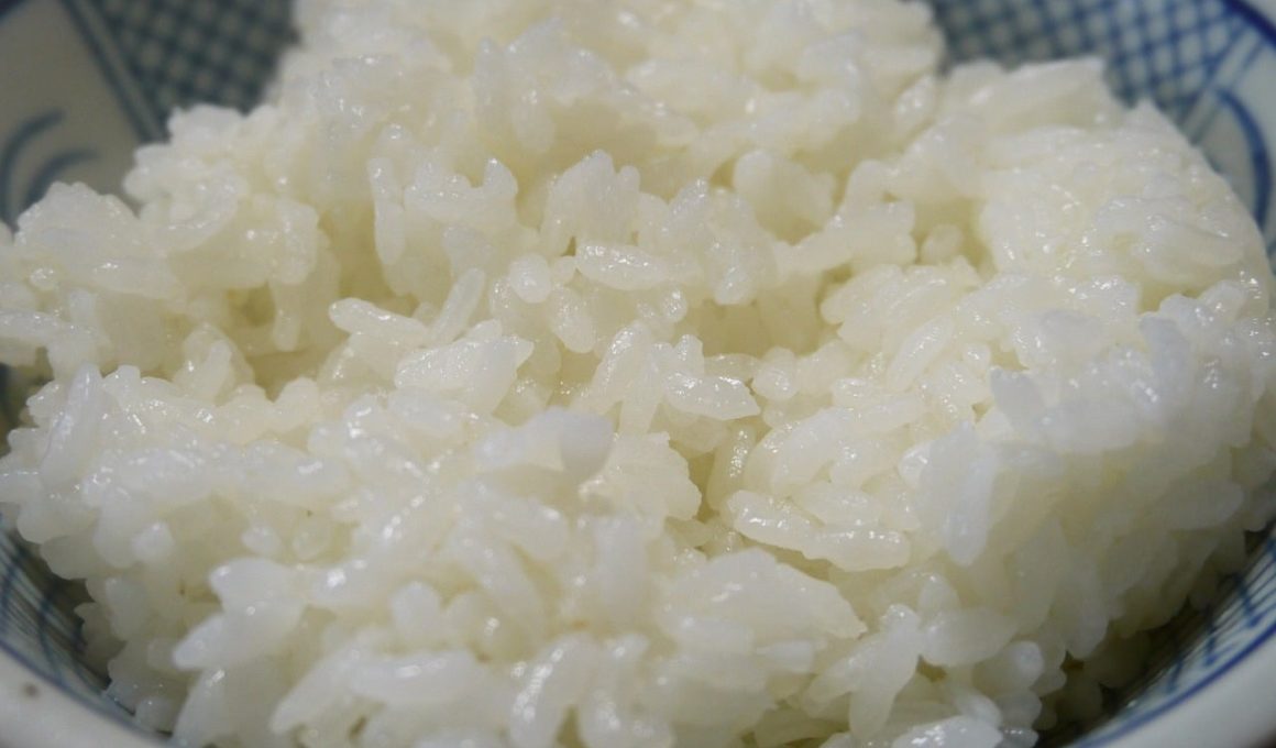 How Many Calories in Rice