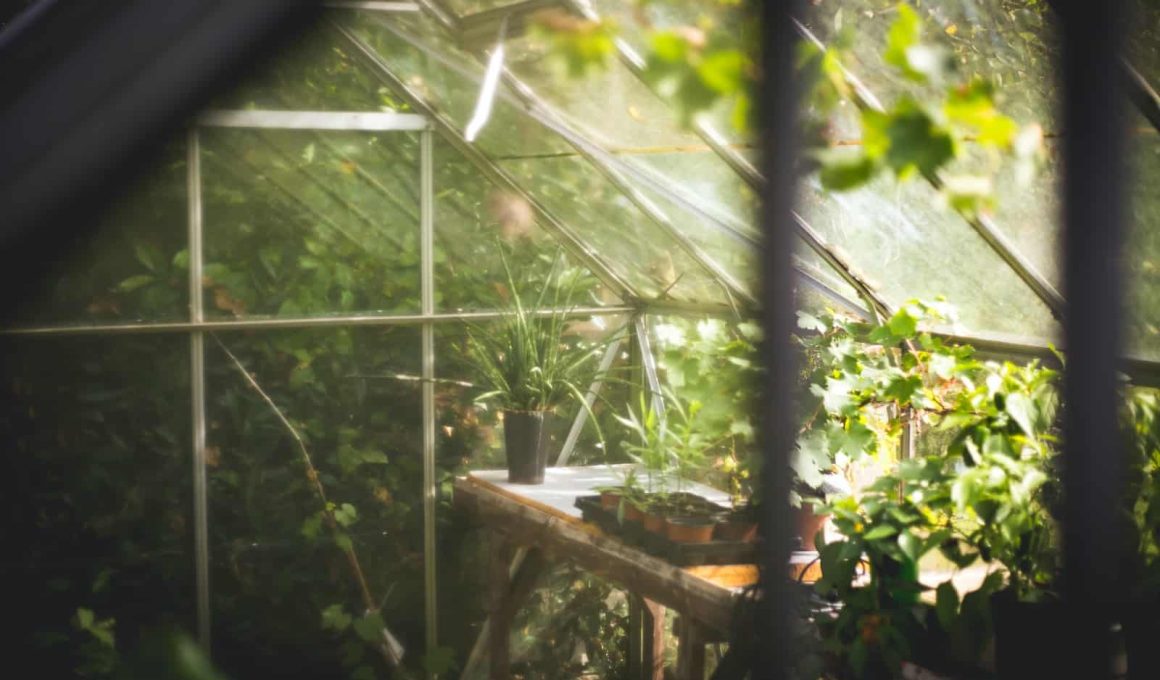 How to Clean Greenhouse Plastic