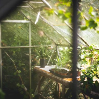 How to Clean Greenhouse Plastic