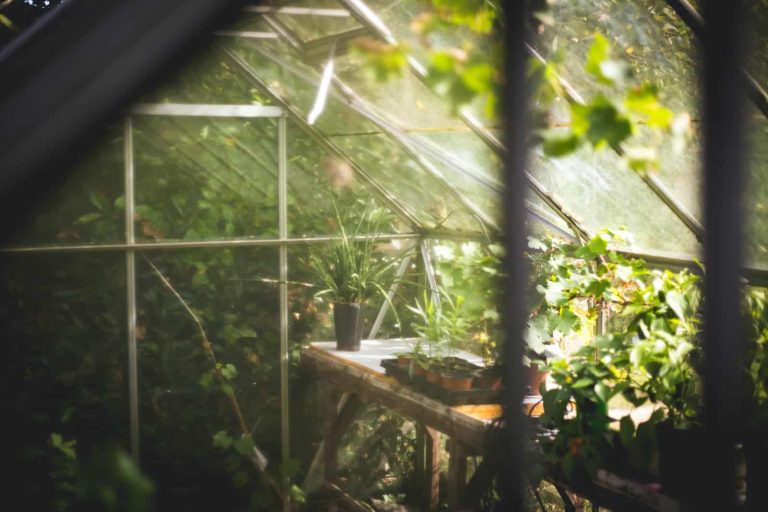 How to Clean Greenhouse Plastic