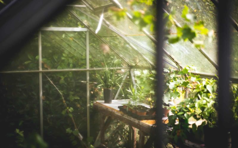 How to Clean Greenhouse Plastic