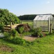 How to Cool a Greenhouse