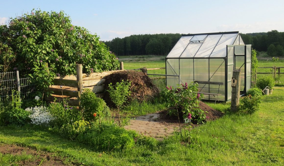 How to Cool a Greenhouse