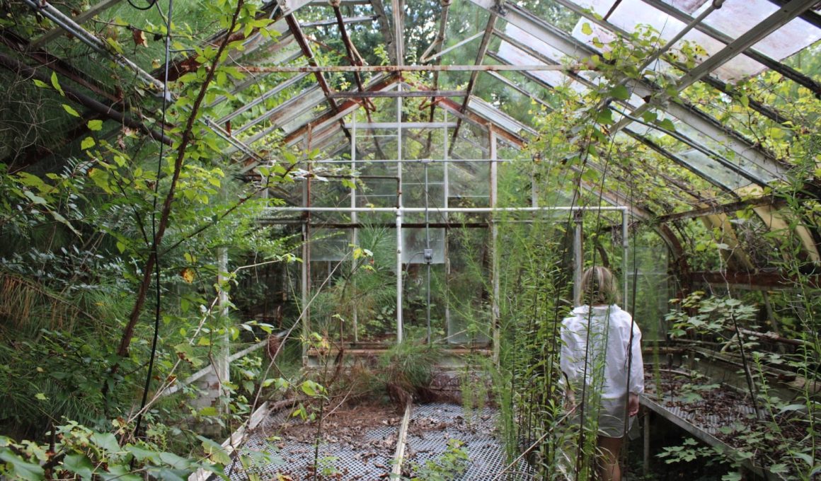 How to Heat a Greenhouse