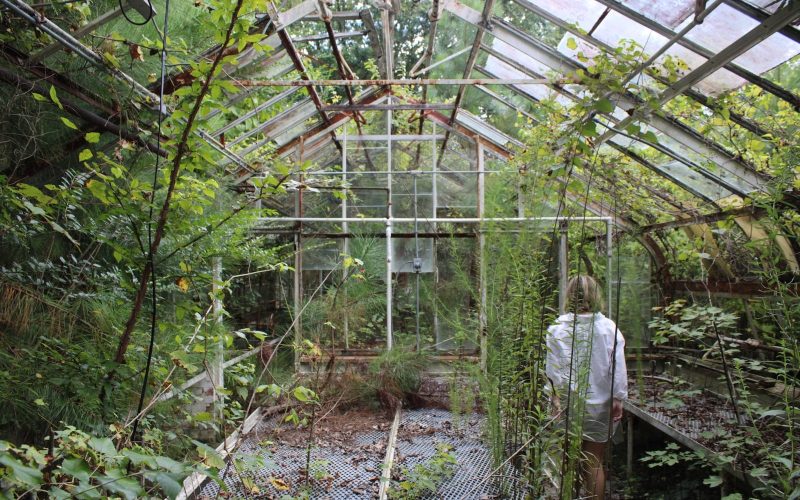 How to Heat a Greenhouse