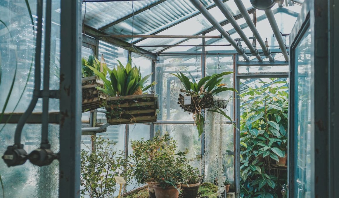 How to Heat an Indoor Greenhouse