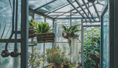 How to Heat an Indoor Greenhouse