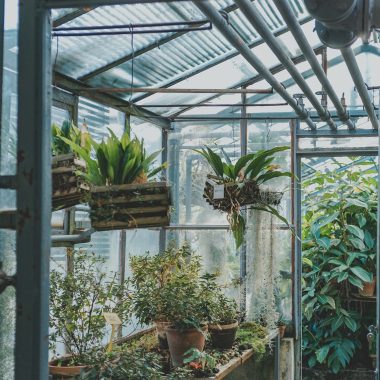 How to Heat an Indoor Greenhouse