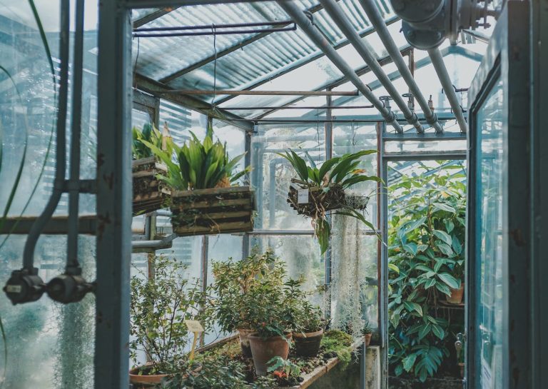 How to Heat an Indoor Greenhouse