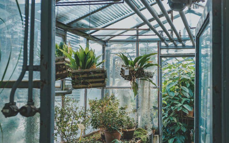 How to Heat an Indoor Greenhouse