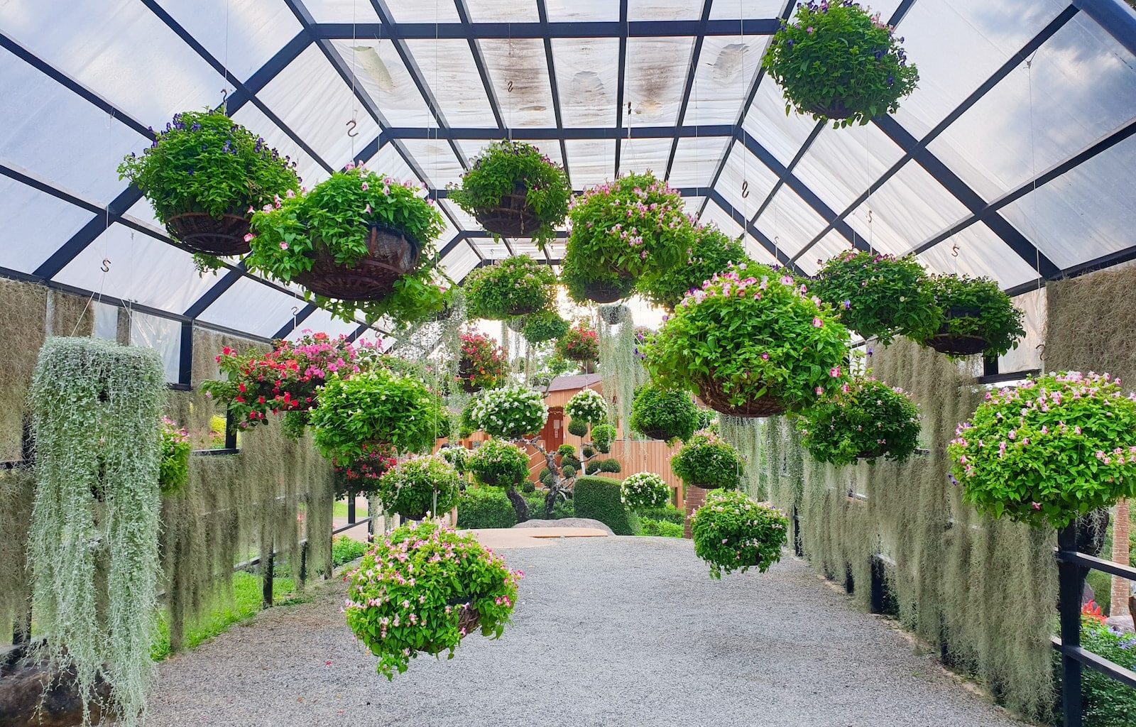 What is an Indoor Greenhouse Called