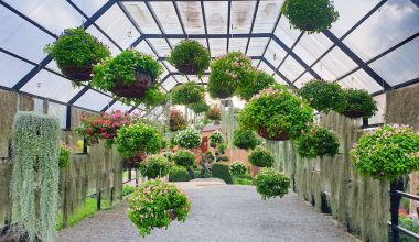 What is an Indoor Greenhouse Called