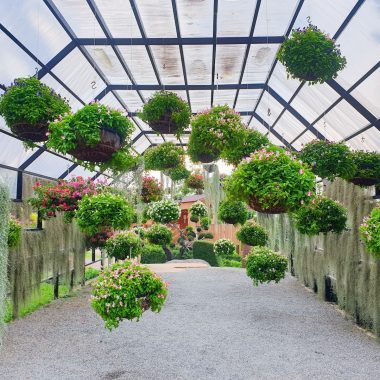 What is an Indoor Greenhouse Called